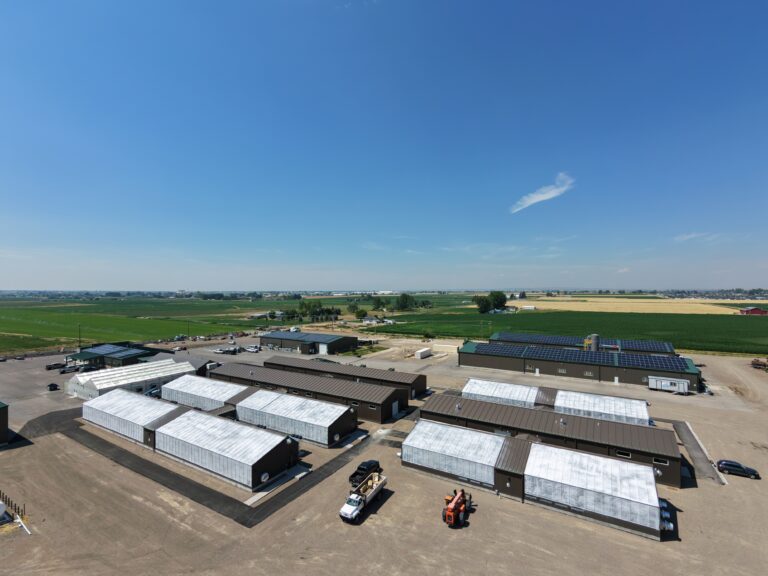KWS research greenhouse