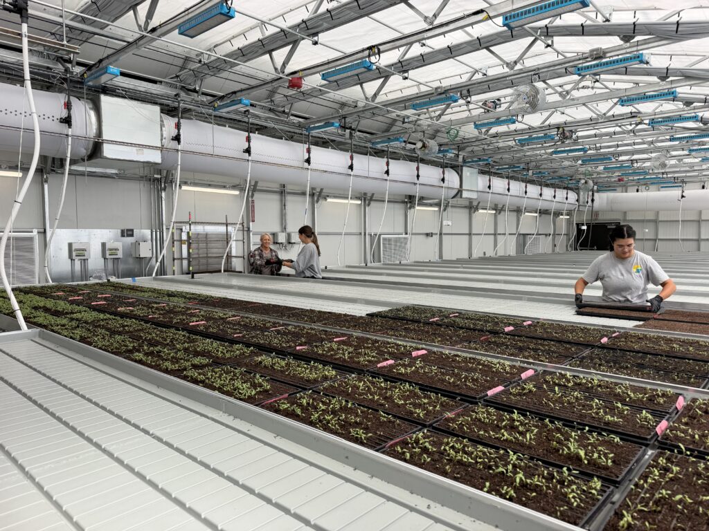 KWS seed research