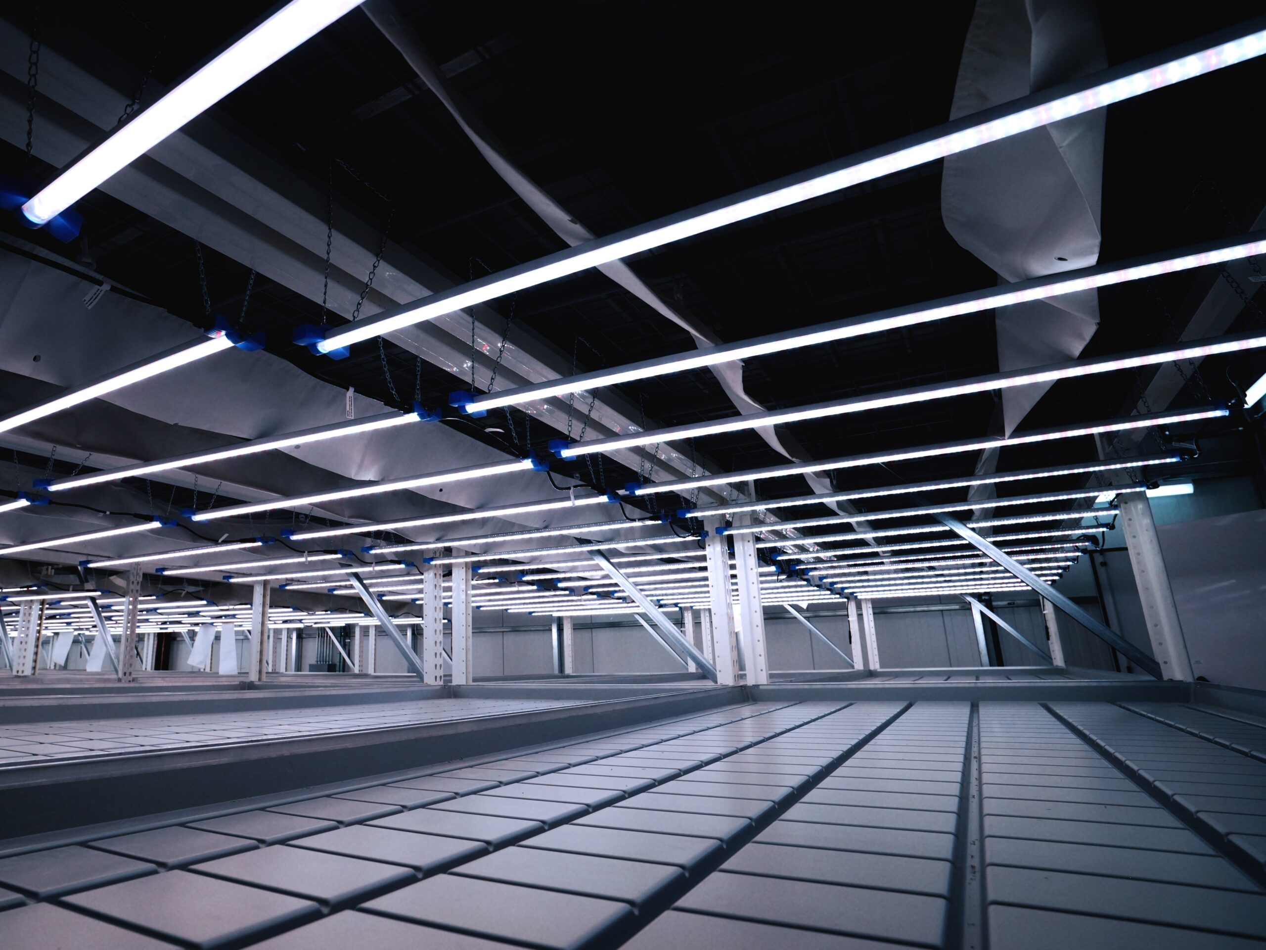 LED supplemental lighting and fabric air distribution ducts above rolling benches at the KWS Seeds research facility in Kimberly, Idaho
