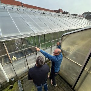 greenhouse consulting