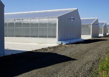 Commercial Modular Greenhouses